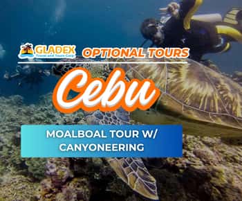 Excursão a Moalboal com canyoning