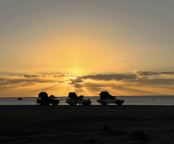Cabo San Lucas: Safári de 4 dias Discover Baja