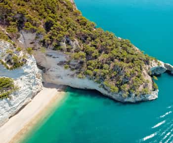 Tour of the Gargano Coast and Sea Caves