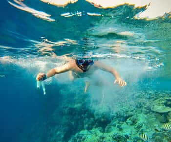Do Cairo: Viagem de snorkeling num iate com almoço