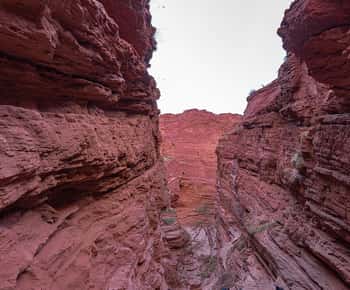 Da Salta: escursione guidata di 2 giorni a Cafayate e Salinas Grandes