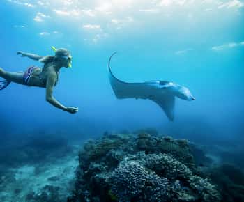 Vanuit Bali: Zwemmen met Manta's in Nusa Penida