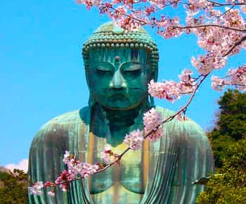Da Tokyo: Kamakura e Enoshima: escursione privata di un giorno intero