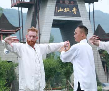 Chengdu: Kung Fu Panda Tour, Tai Chi,Martial Arts&Panda base
