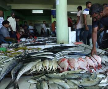 Maldive : Tour privato della città di Male' a piedi con possibilità di scelta