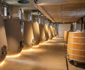 De Aix-en-Provence : Vinho, azeite e aldeias pitorescas