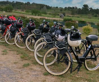 Carcassonne: Solex ride with guide and wine tasting