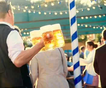 Munique: Oktoberfest Big Beer Tent Reserva uma mesa para a noite