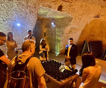 Частная поездка из Парижа на полдня в Шампань Veuve Clicquot