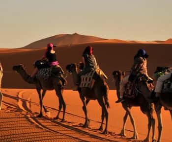 Agadir: kamelenrit, quadrijden en sandboarden in de Timlalin-duinen