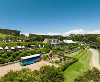 Waiheke-sziget: komp- és Hop-On Hop-Off Explorer buszjegyek