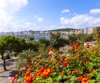 Palma: Express Walk with a Local in 60 minutes