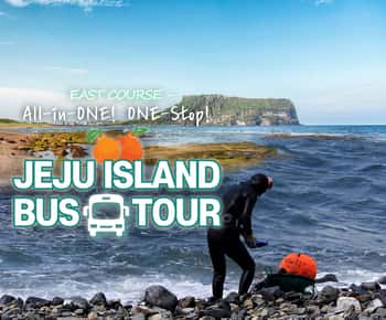 Jeju Island: Full-Day East Jeju Bus Tour with Entry Fees