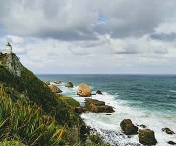 Dunedin to Te Anau via Catlins Small Group Tour (One-Way)