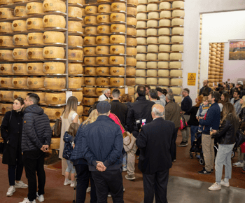 Formigine: Parmesan Factory Tasting and Tour near Modena