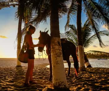 Zonsondergang bij Paard op het Strand