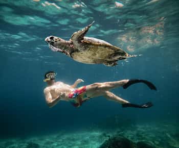 Z Gili Air: Snorkeling z żółwiami i podwodnym posągiem