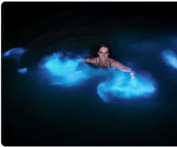 Luminous lagoon : Night Tour from Ocho Rios and Runaway Bay