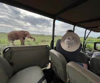 All inclusive 2 Day Kruger Safari from Nelspruit