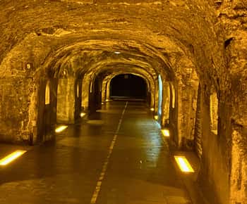 Moet et Chandon Champagne Halbtagesausflug ab Paris