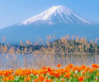Tour di un giorno dei 5 luoghi più belli del Monte Fuji: Parco Arakurayama,Oshino Hakkai