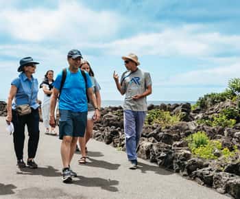 São Miguel West: Full-Day Van Tour with Lunch