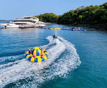 Visitez Nautilus Cruise Visite touristique et plongée avec tuba d'une demi-journée