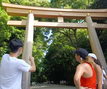 Tokyo: Meiji Jingu Shrine and Shinto Culture Walking Tour