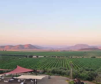 Tour durch das Valle de Guadalupe: Weinverkostungen inklusive