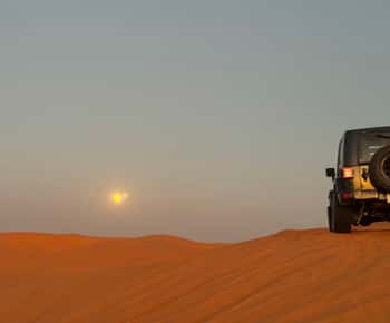 Riyadh Red Sands Tour : dune bashing & camel riding.