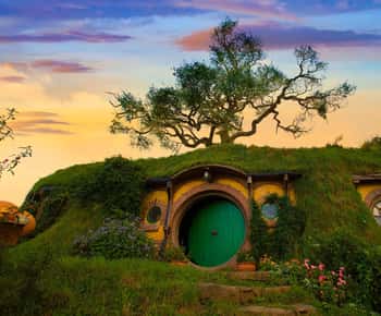 De Auckland: Excursão particular ao Hobbiton Movie Set (Flexível)