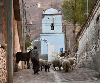 Humahuaca - Calilegua: Overland from the Quebrada to the Yungas of Jujuy