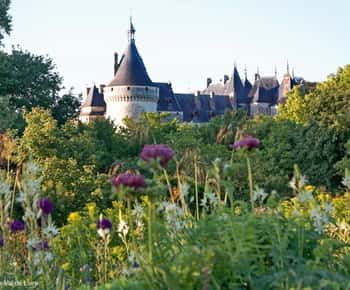 From Blois: Chaumont-sur-Loire, Nature, Wine And History