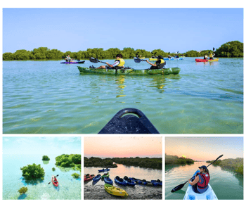 Qatar: Al Thakira Mangrovemetsän melontaretki