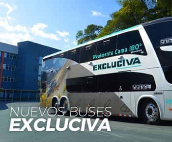 Bus esclusivo diretto: da Cuzco a Puerto Maldonado 180° e 160°.