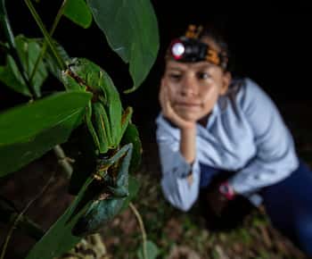 Tortuguero: Night Wildlife Spotting and Jungle Walk Tour