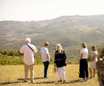 Montalcino: Geführte Weinkellertour und Weinverkostung