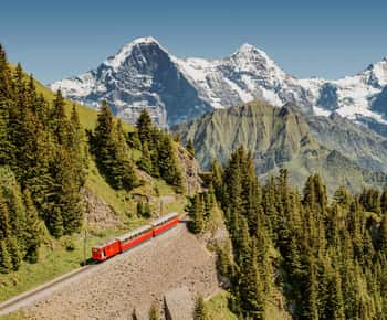 Schynige Platte - Top of Swiss Tradition Ticket