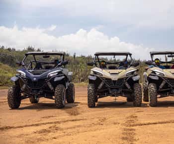 Curacao: Offroad UTV/BUGGY Adventure