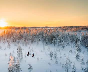 Kemi-Tornio: Naturtur med snesko