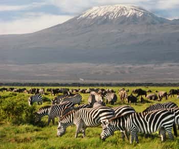 From Nairobi: 9-Day Kenya Safari with Accommodation