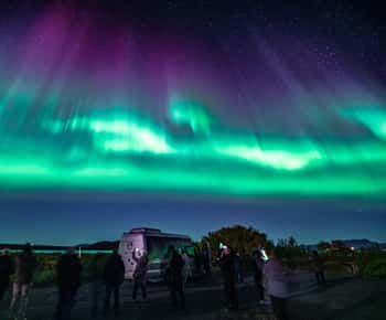 Fra Reykjavik: Nordlystur med varm kakao og bilder