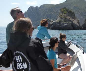 Sesimbra: Arrábida Strände & Höhlen Bootstour mit Schnorcheln