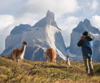 Puerto Natales : Journée complète Torres del Paine + grotte de Milodon