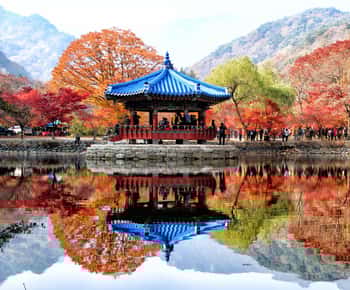 Seoul: Autumn Foliage - Mt. Naejang + Jeonju Hanok Village