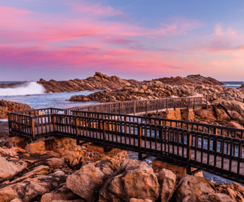 From Perth: Full-Day Margaret River Wine Tastings & Lunch