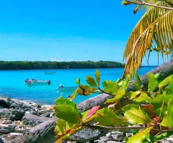 La Romana: Catalina Island Day Trip with Lunch & Drinks