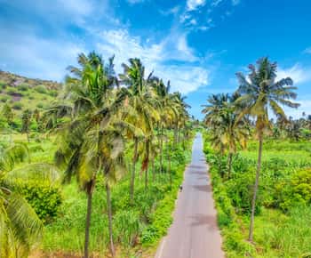 Praia: Day trip by minibus for cruise passengers