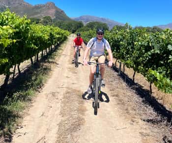 Da Cidade do Cabo: Passeio de bicicleta pelos vinhedos de Franschhoek com almoço