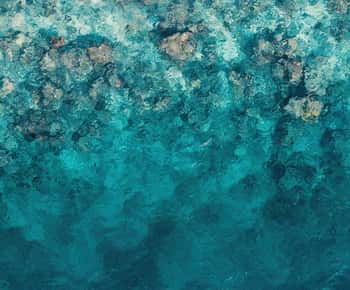 Fai snorkeling in 3 barriere coralline e rilassati su un banco di sabbia